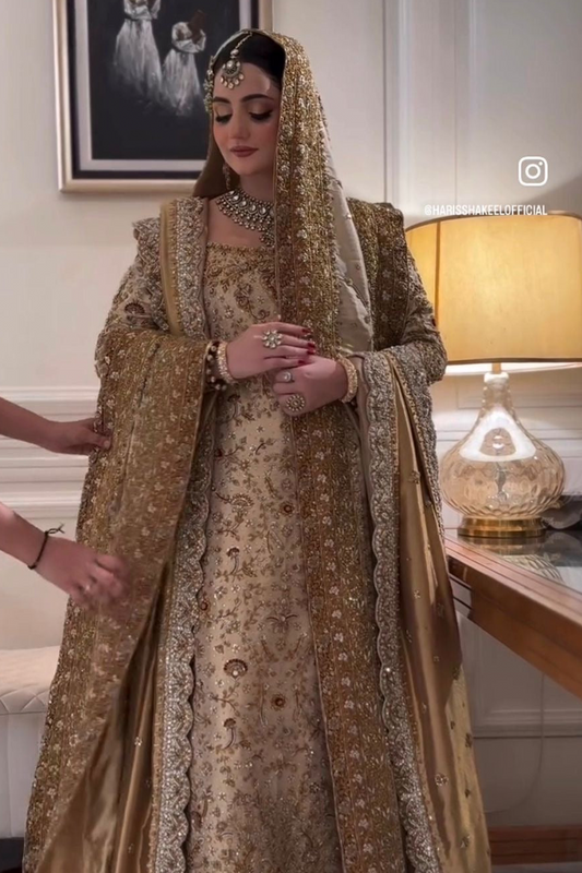 Haris shakeel golden wedding edition